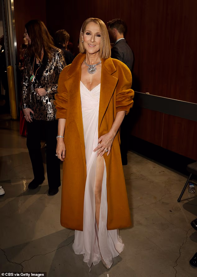 Dion is seen at The Grammys in February