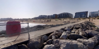 Hero dog saved widower, 71, after owner suffered cardiac arrest at beach