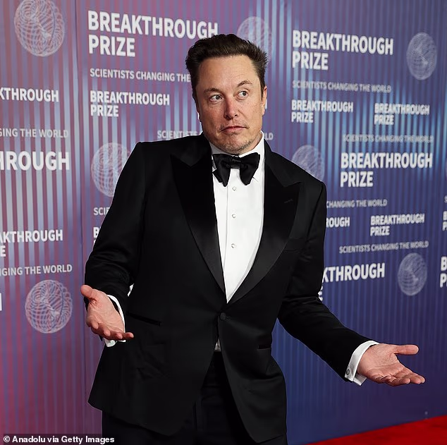 Elon Musk stirred up the ire of X users on Tuesday with a bizarre post inspired by Sydney Sweeney's breasts; pictured in April 2024 in LA