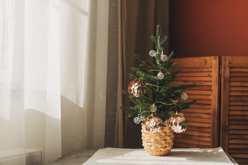 Small Christmas tree (stock)
