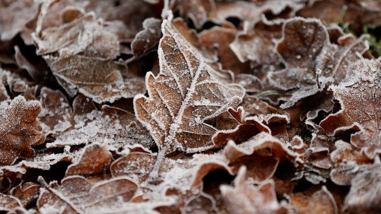 Cold weather. Pic: Reuters
