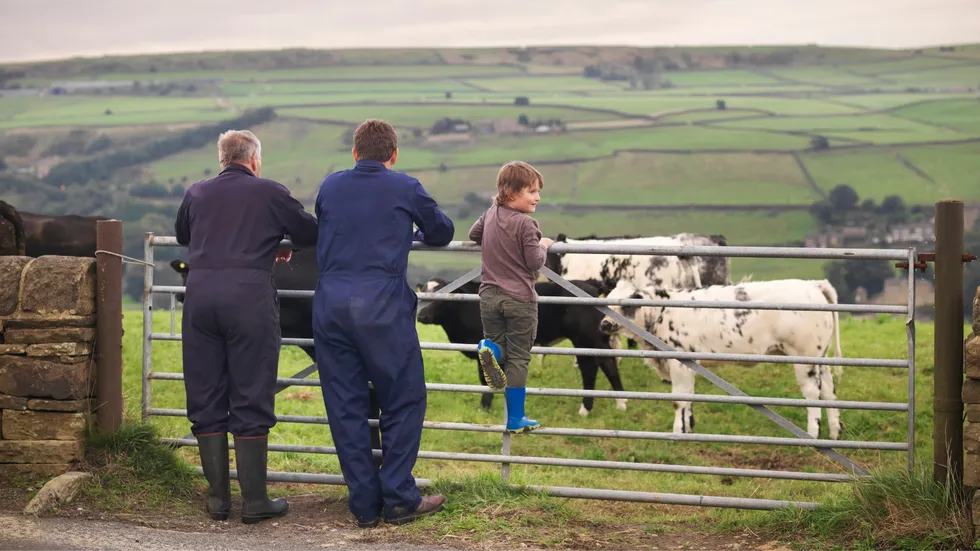 Farming family watch livestock in field