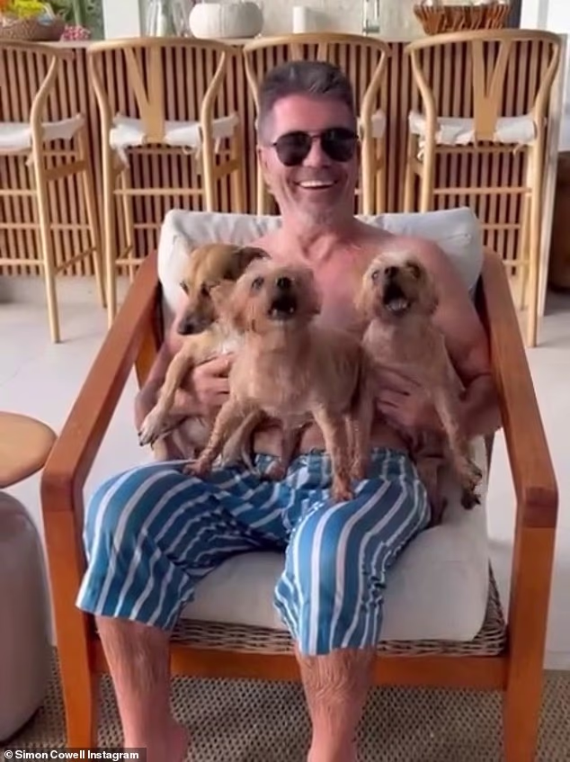 Taking to Instagram, he appeared to be in high spirits as he bared his chest while reclining on a white lounger with three of his pet dogs sat on his lap