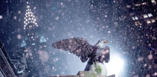 ‘White stuff is coming, NYC!’: New York prepares as snowstorms forecast to hit | US News