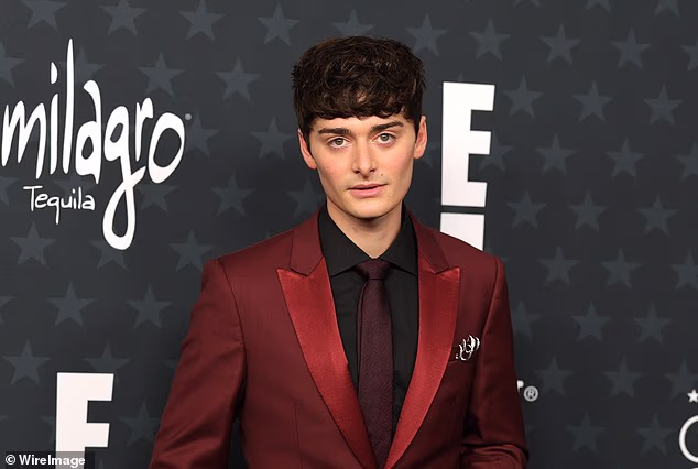 The DM that Noah, who plays Will Byers in Stranger Things, showed the songstress asking was: 'Noah can u tell Joseph [Quinn] to hmu. wait no. does he have a gf?' (pictured in 2026)