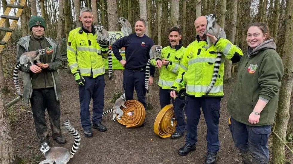 Fireighters, zoo staff and lemurs with the donated hoses