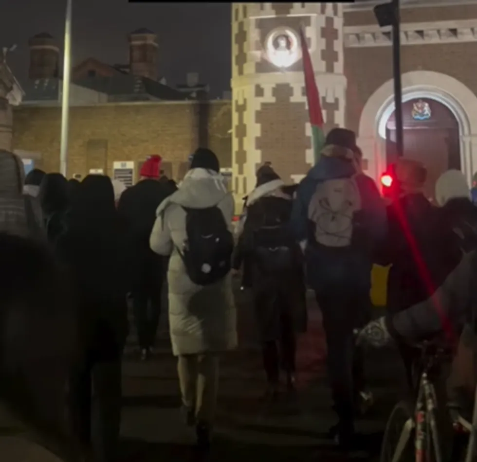 Palestine Action activists