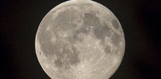 When can you spot this year’s Snow Moon, and where did it gets its name? | UK News