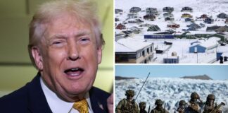 Military action in Greenland ‘always an option’ says White House | World News
