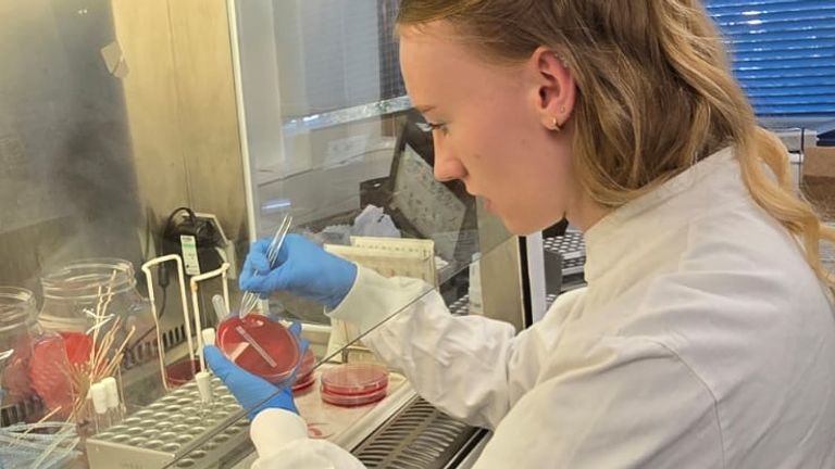 UKHSA scientists have been examining the spike in cases - image provided by UKHSA. Pic: UKHSA 
