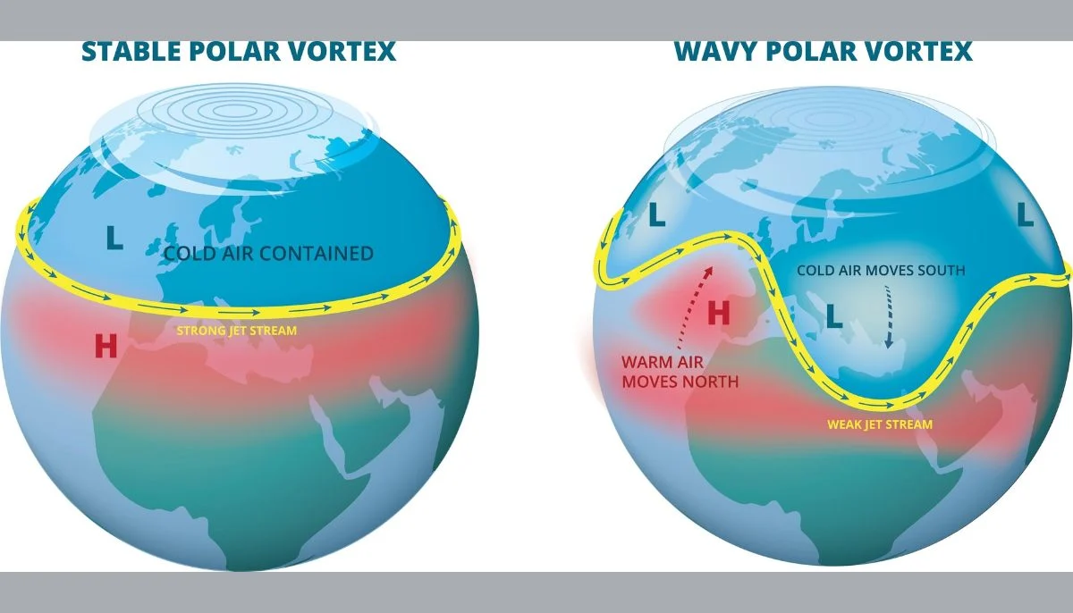 Polar vortex ‘exceptional’ disruption: Rare shift signals extreme February winter