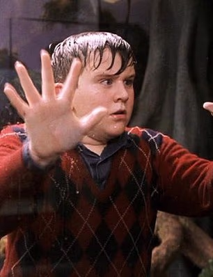 Harry shot to fame in the famous wizarding film franchise at the age of 12 in 2001 (pictured)
