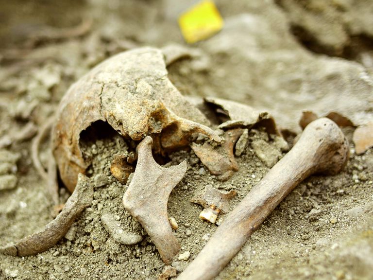 Photo shows the skull of the 'vampire' in situ. Pic: Natasa Sarkic