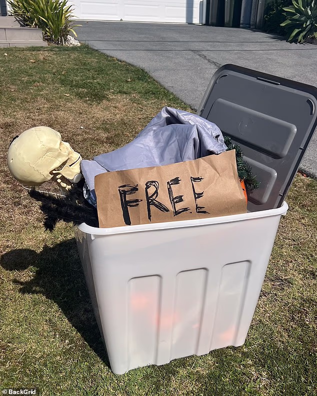 She left a box of unwanted items, that included what appeared to be a Halloween skull decoration and a Christmas tree, on the front lawn with a sign reading 'free'