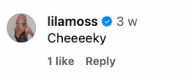 Stella's best friend Lila Moss, 23 - the model daughter of supermodel Kate Moss - also commented 'Cheeeeky' on the post while Stella's sister Ava wrote: 'U soooo cute.'