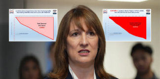 Rachel Reeves backed into a corner as bombshell report blows lid on Bank of England’s £100billion black hole