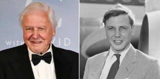 David Attenborough fans call for national bank holiday as BBC unveils major plans for his 100th birthday