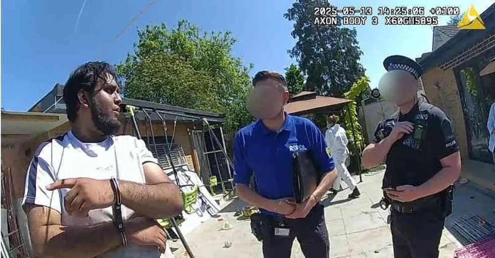 Billericay dog deaths