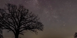 North Yorkshire celebrates rich stargazing tradition with Dark Skies Festival