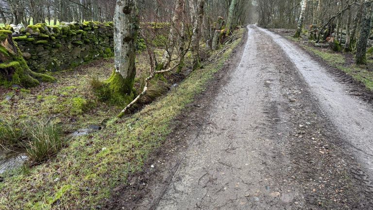 Brian Low's body was discovered in Leafy Lane. Pic: Sky News