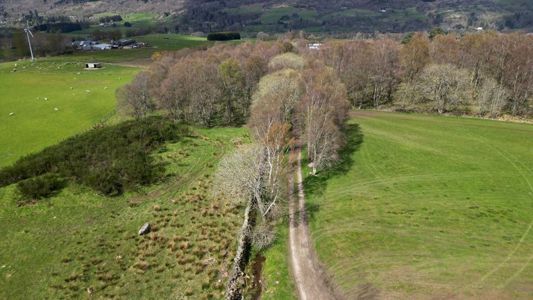 The remote track where Brian Low was murdered