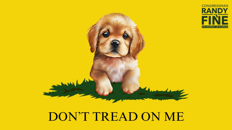 The Gadsden flag (top). Pic: Reuters. Randy Fine's dog tweet styled on the flag. Pic: X / @RepFine