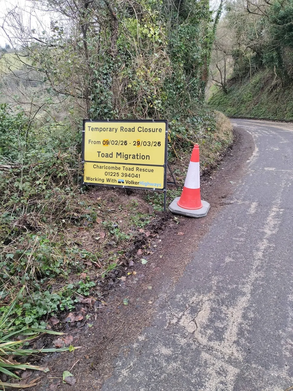 Toad road closure sign