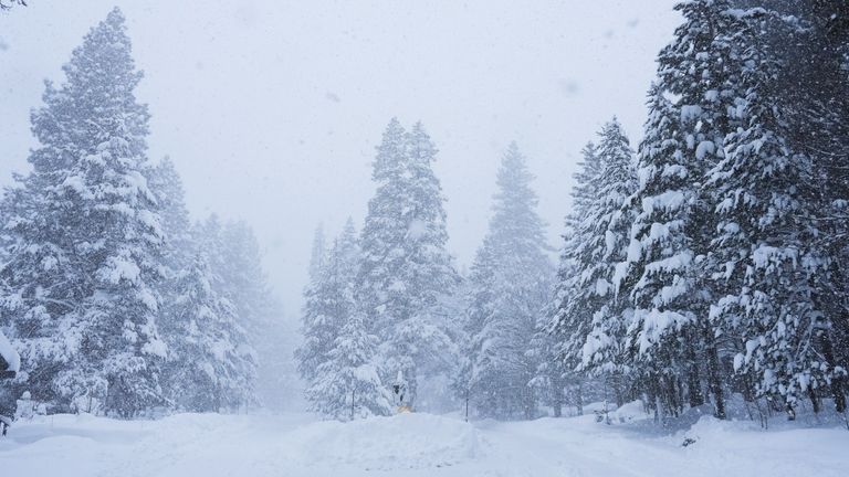 Much of California's Central Sierra Nevada region has been covered in heavy snow. Pic: AP