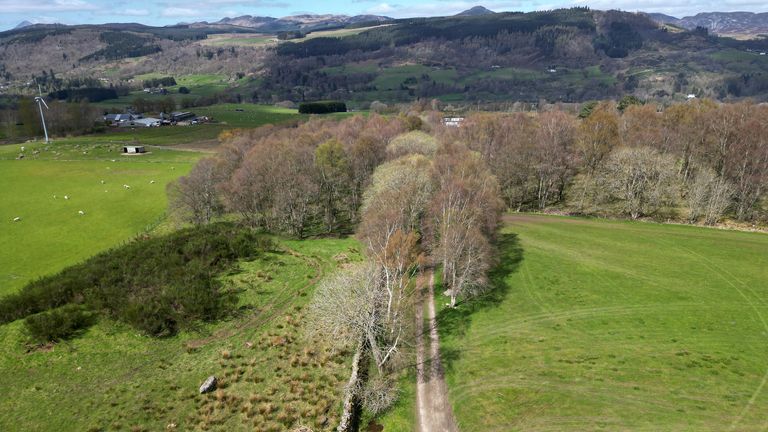 A general view of the area where Brian Low's body was discovered. Pic: PA
