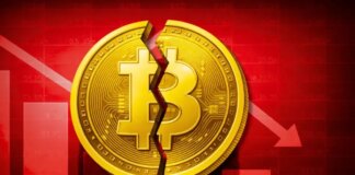 Here is everything to know