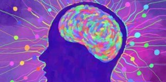 New study challenges long-held science