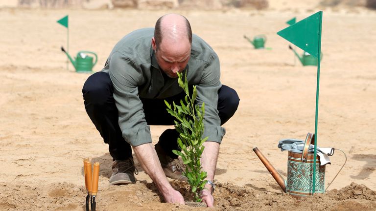 William plants an acacia tree at the reserve. Pic: Reuters