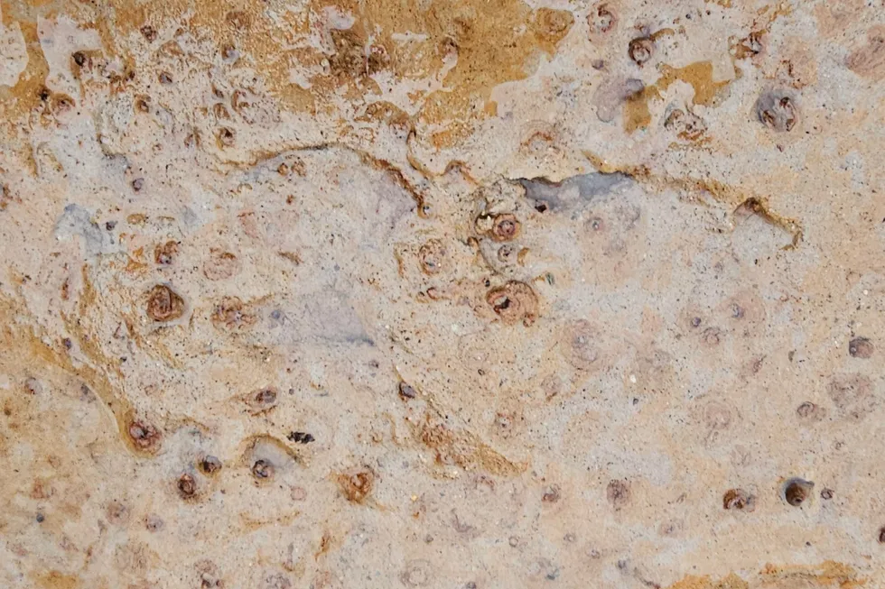 2,000-year-old footprints in Scotland