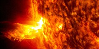 Sun appears spotless for first time in four years, scientists report