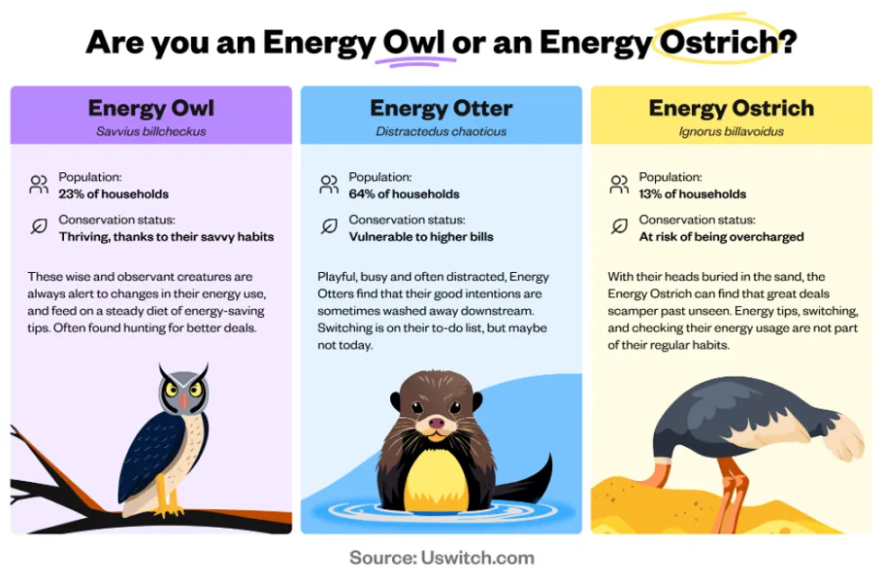 Energy Owl or Energy Ostrich?