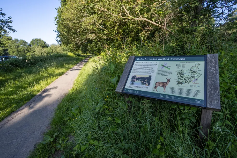 Tunbridge Wells and Rusthall Commons