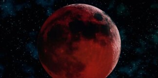 What you need to know and where to watch