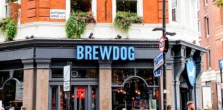 BrewDog up for sale after five straight years of losses