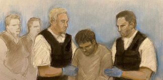 Afghan Safi Dawood accused of murdering dog walker ‘may never be fit to stand trial’