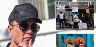 Elon Musk faces global day of protest from Tesla Takedown activists as EV sales continue to plummet