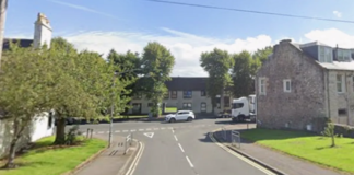 Neighbour row erupts over overgrown trees as council rejected homeowner’s calls to have them cut