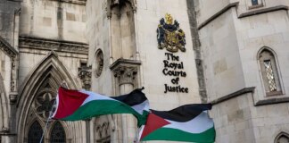 Palestine Action terror ban was unlawful, high court judge rules