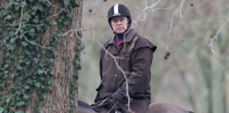 Why palace chose to issue extraordinary statement over Andrew allegations | UK News