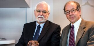 ‘Tipping point’ reached in creation of brain chips to help ‘unlock’ minds of people with paralysis | Science, Climate & Tech News