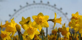 UK to be warmer than Malta and Barcelona as temperatures may hit 19C, say forecasters | UK News