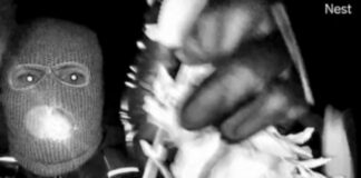 FBI releases photos of ‘armed individual’ in search for news presenter’s missing mother Nancy Guthrie | US News