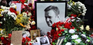 Alexei Navalny died after being poisoned with dart frog toxin, UK and allies say | World News