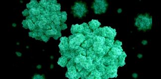 Number of norovirus patients in England at highest level this winter, as NHS warns of ‘second surge’ | UK News