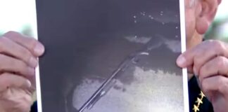 Armed man shot and killed after entering perimeter of Mar-a-Lago | US News