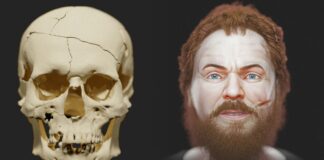 Face of a ‘vampire’ revealed: Science rebuilds likeness of man decapitated after death to stop him coming back | Science, Climate & Tech News